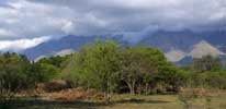 Daytime view from the straw bale house