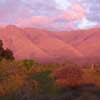 The view from Timothy's straw bale home