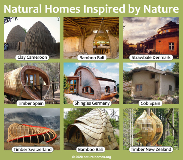 Natural building: Inspired Nature