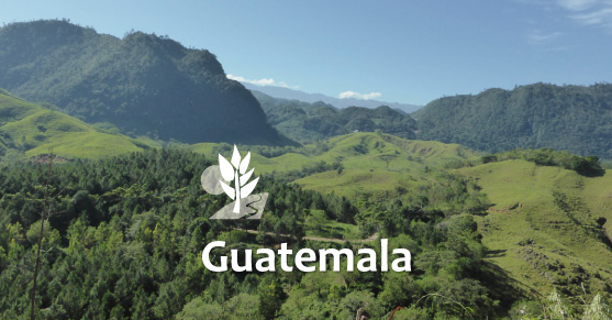 Living in Guatemala