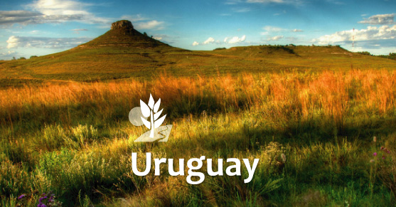 Living in Uruguay