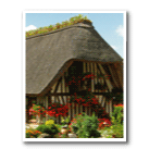 Thatches houses around the world